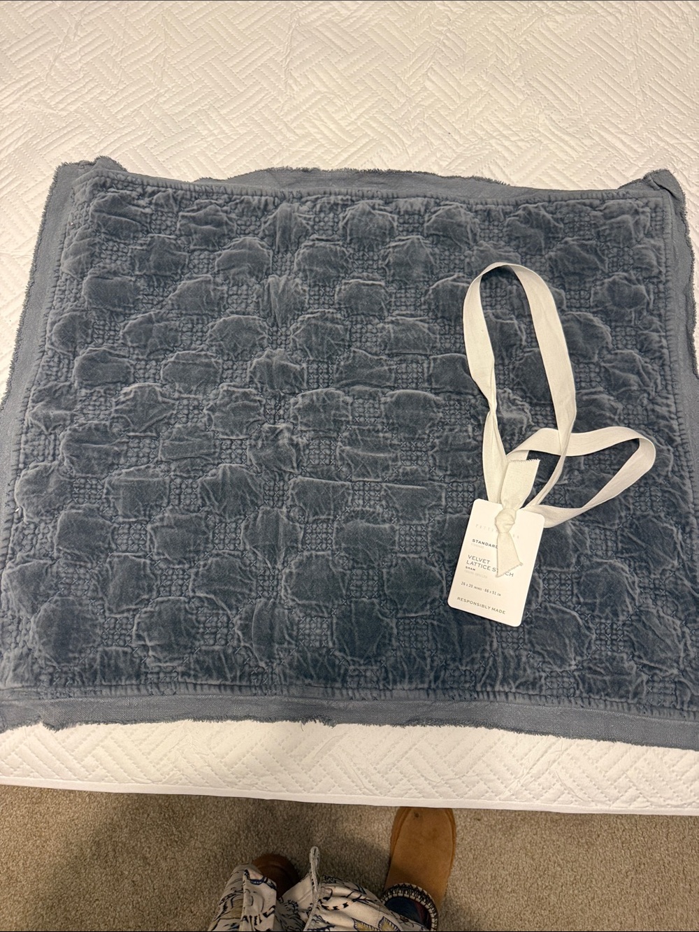 Pottery Barn Velvet Lattice Stitch Sham